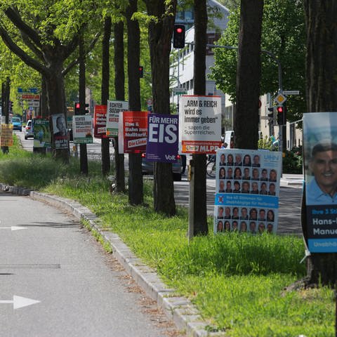 Wahlplakate am Straßenrand zur Kommunalwahl (Foto: SWR, SWR)